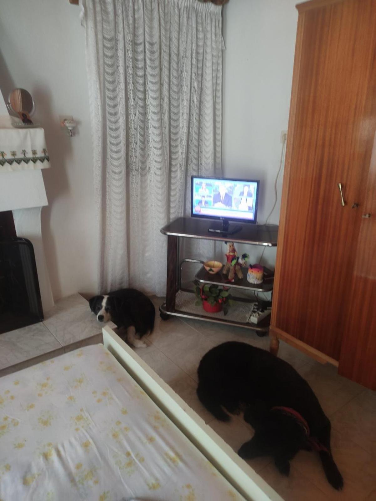 Trikeri Traditional Cozy House Εξωτερικό φωτογραφία