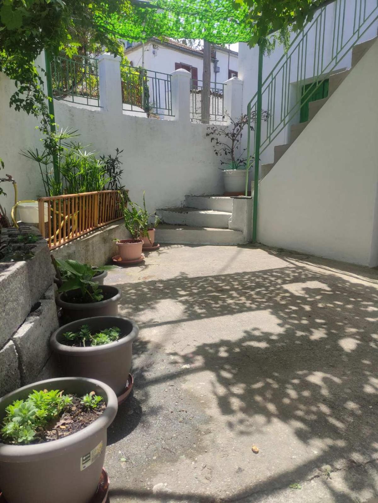 Trikeri Traditional Cozy House Εξωτερικό φωτογραφία